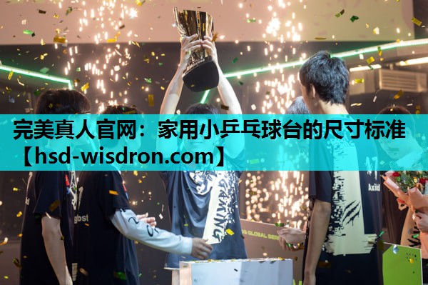 完美真人官网：家用小乒乓球台的尺寸标准