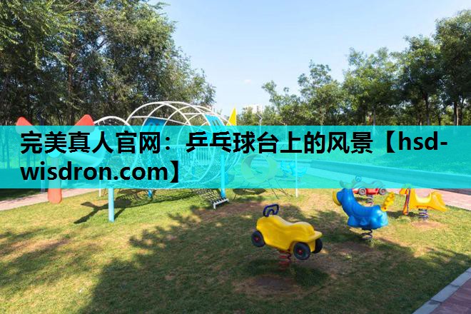 完美真人官网：乒乓球台上的风景