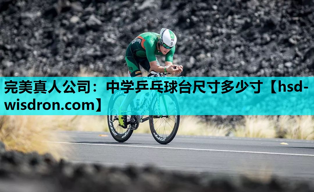 完美真人公司：中学乒乓球台尺寸多少寸
