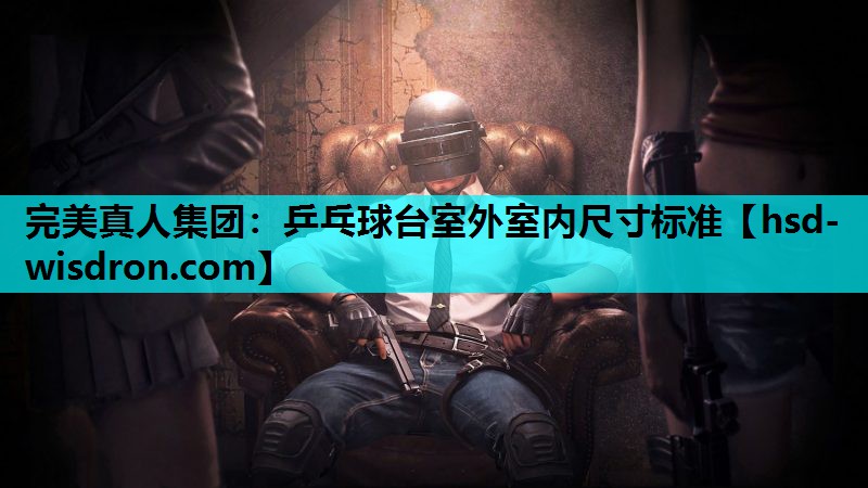 完美真人集团：乒乓球台室外室内尺寸标准