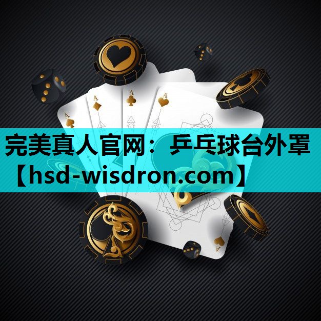 完美真人官网：乒乓球台外罩