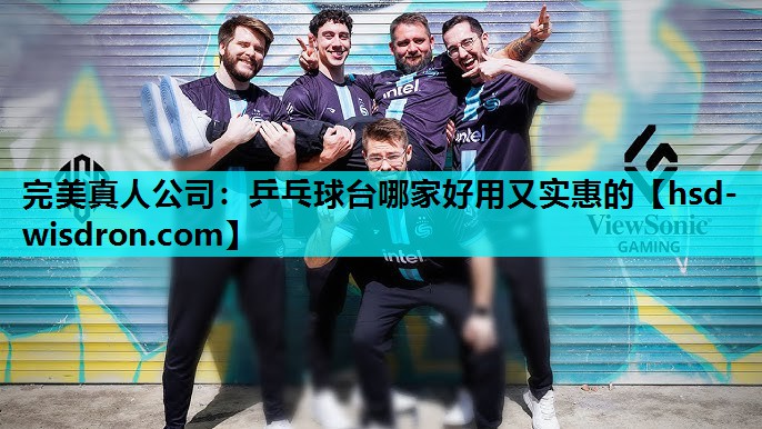 完美真人公司：乒乓球台哪家好用又实惠的