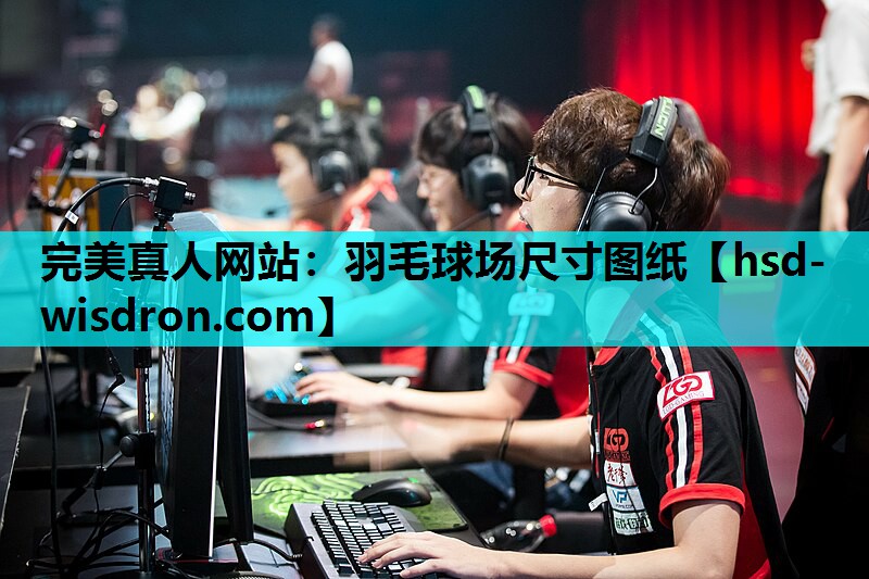 完美真人网站：羽毛球场尺寸图纸