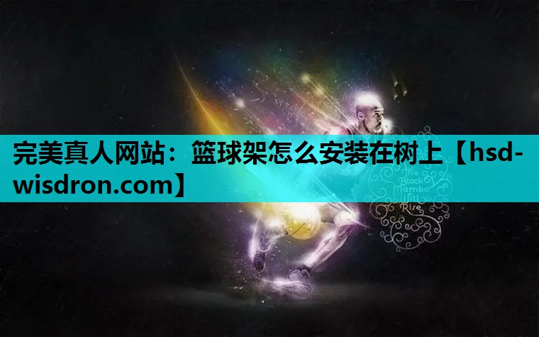 完美真人网站：篮球架怎么安装在树上
