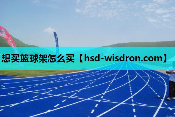 想买篮球架怎么买