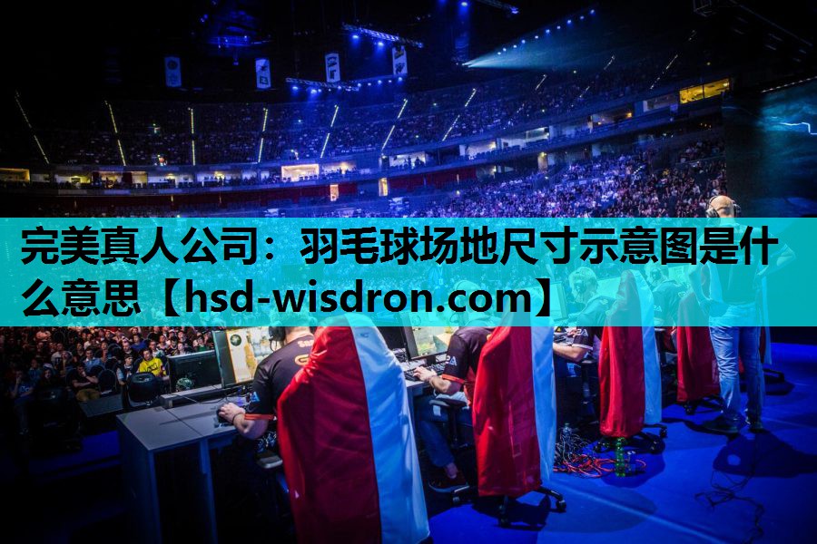 完美真人公司：羽毛球场地尺寸示意图是什么意思