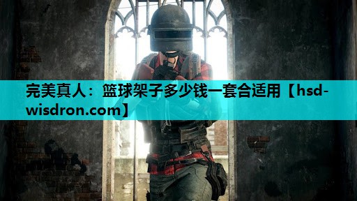 完美真人：篮球架子多少钱一套合适用