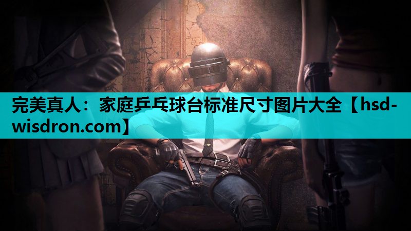 完美真人：家庭乒乓球台标准尺寸图片大全
