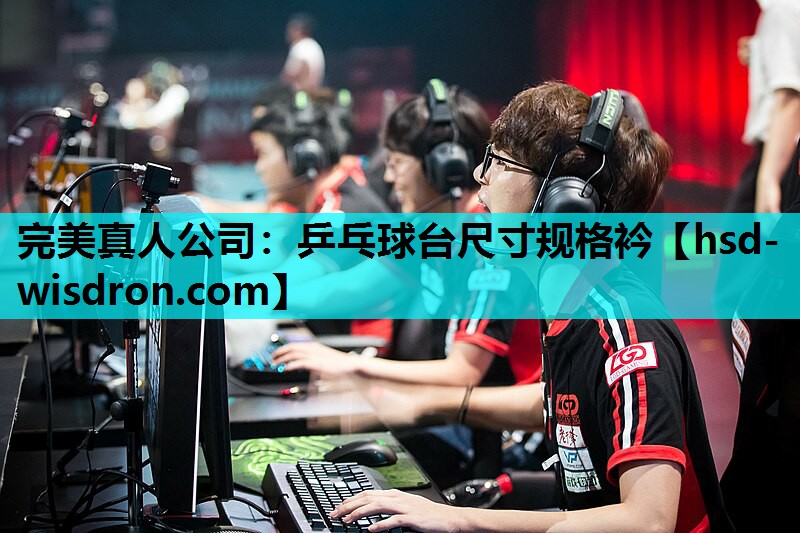 完美真人公司：乒乓球台尺寸规格衿