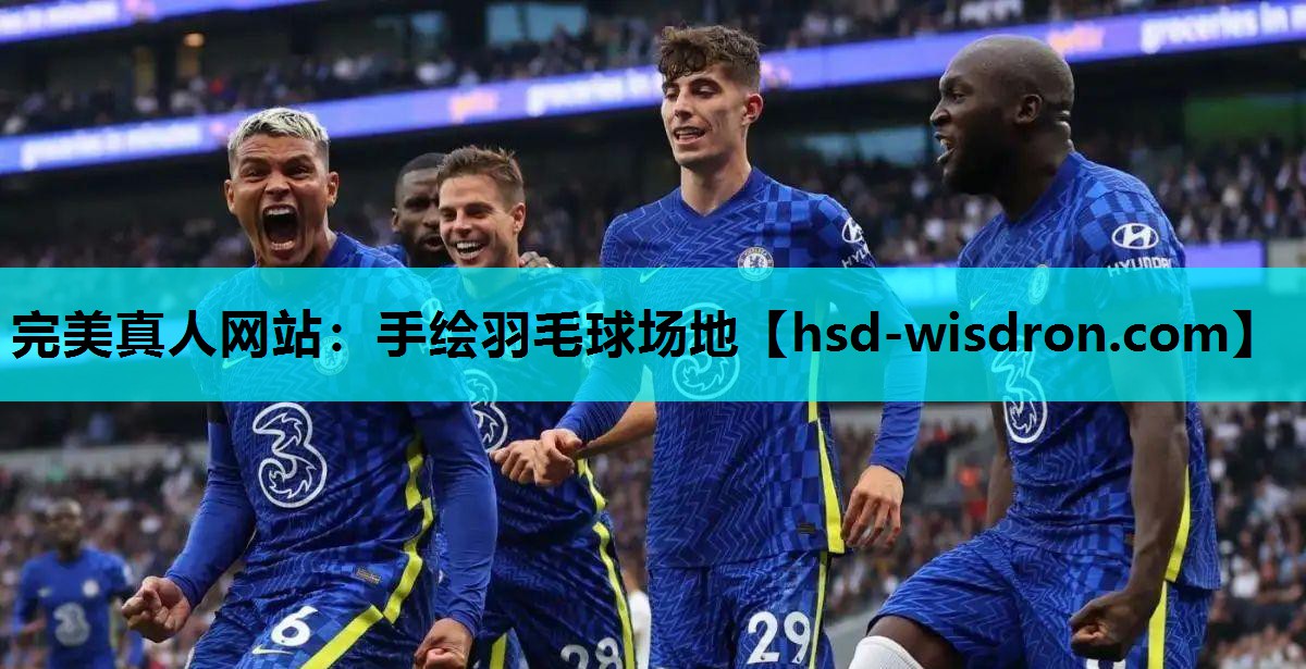 完美真人网站：手绘羽毛球场地