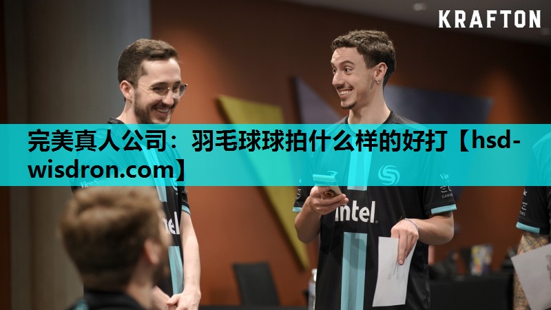 完美真人公司：羽毛球球拍什么样的好打