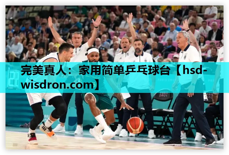 家用简单乒乓球台