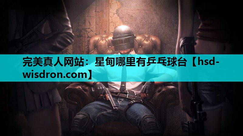 星甸哪里有乒乓球台