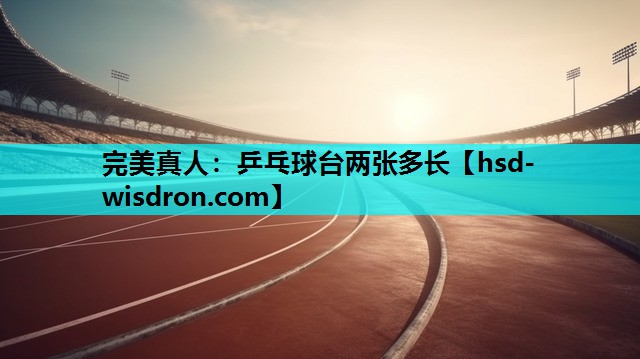 乒乓球台两张多长