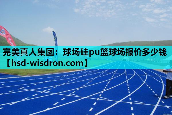 球场硅pu篮球场报价多少钱