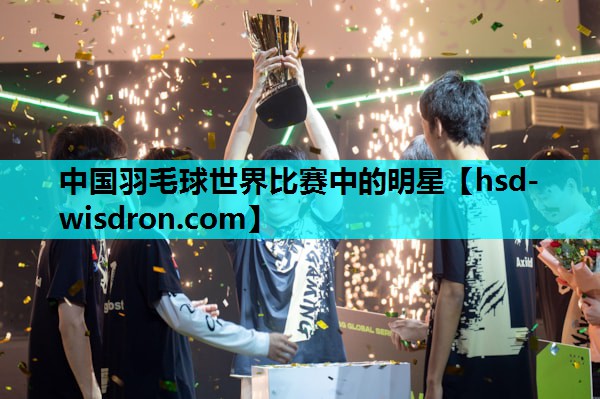 中国羽毛球世界比赛中的明星