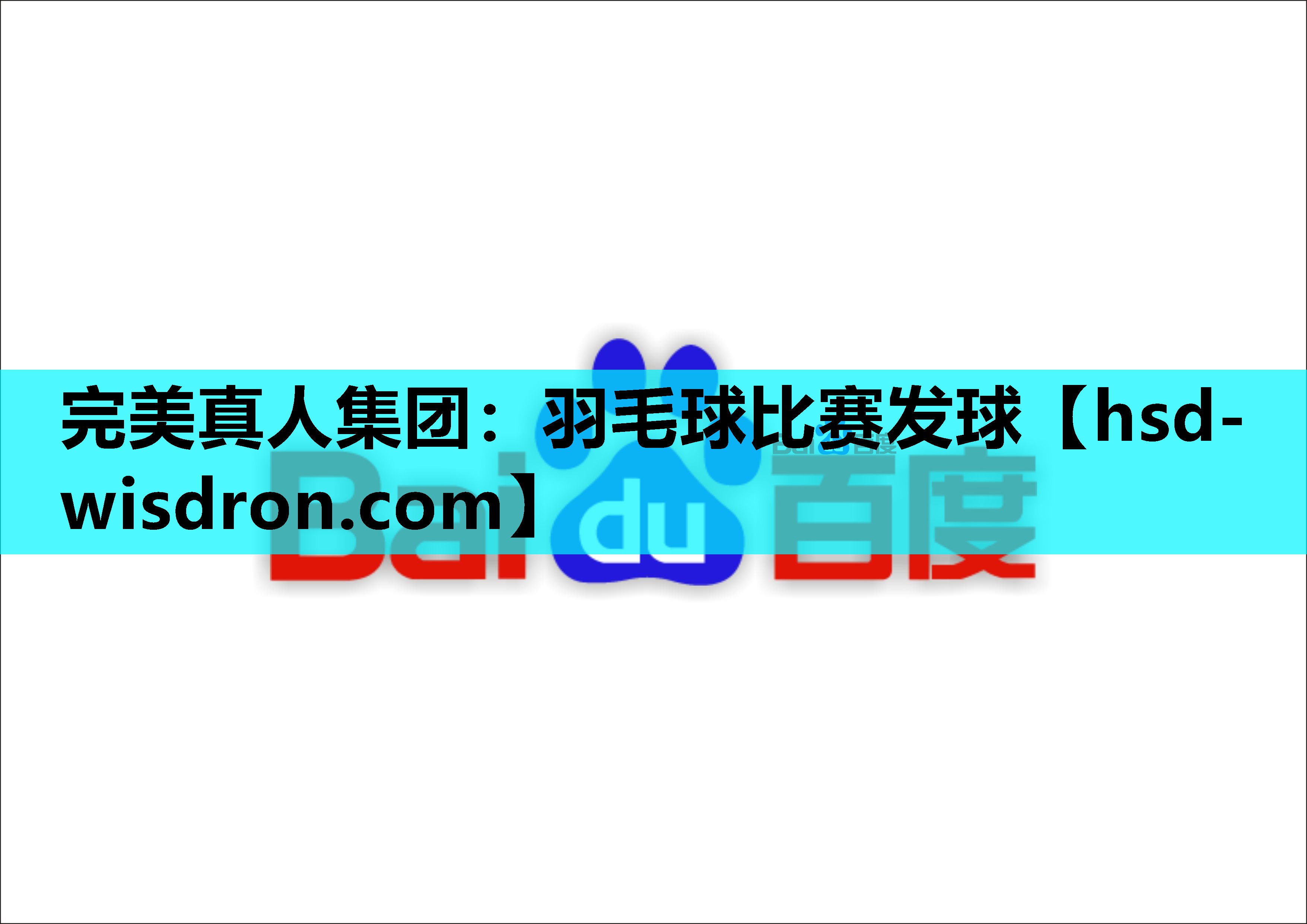羽毛球比赛发球