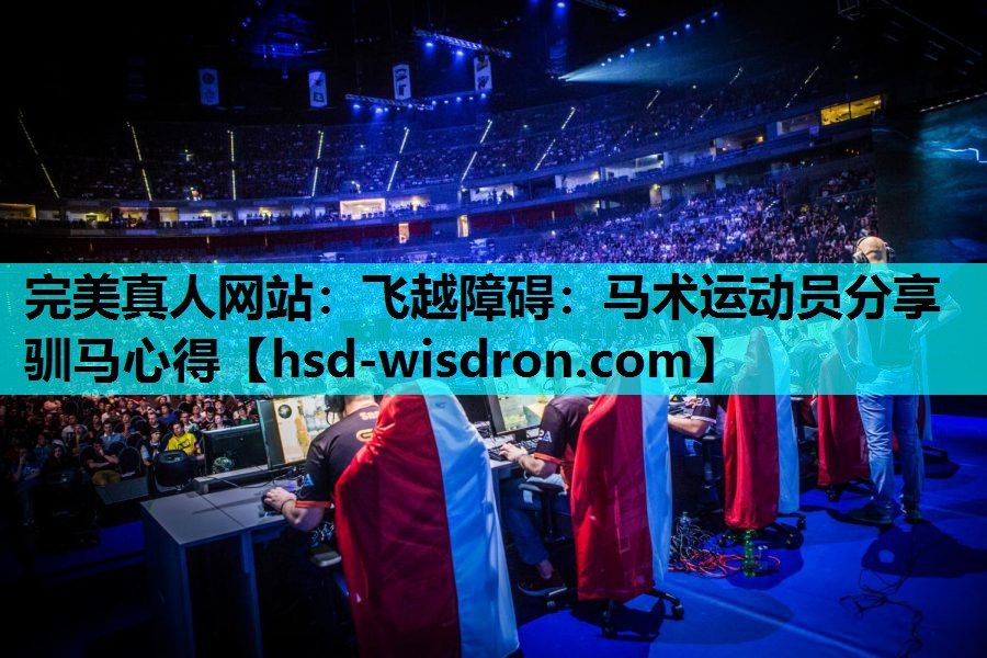 飞越障碍：马术运动员分享驯马心得