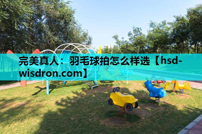羽毛球拍怎么样选