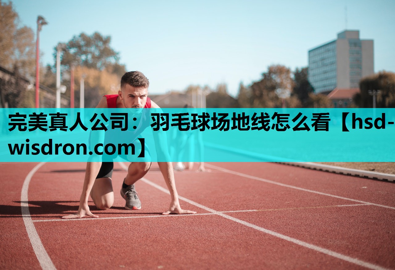 羽毛球场地线怎么看