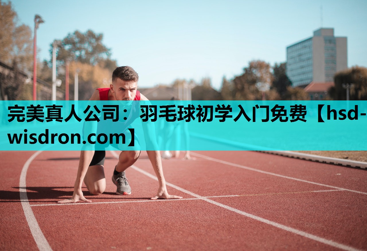 羽毛球初学入门免费