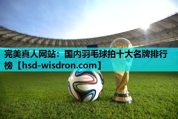 国内羽毛球拍十大名牌排行榜
