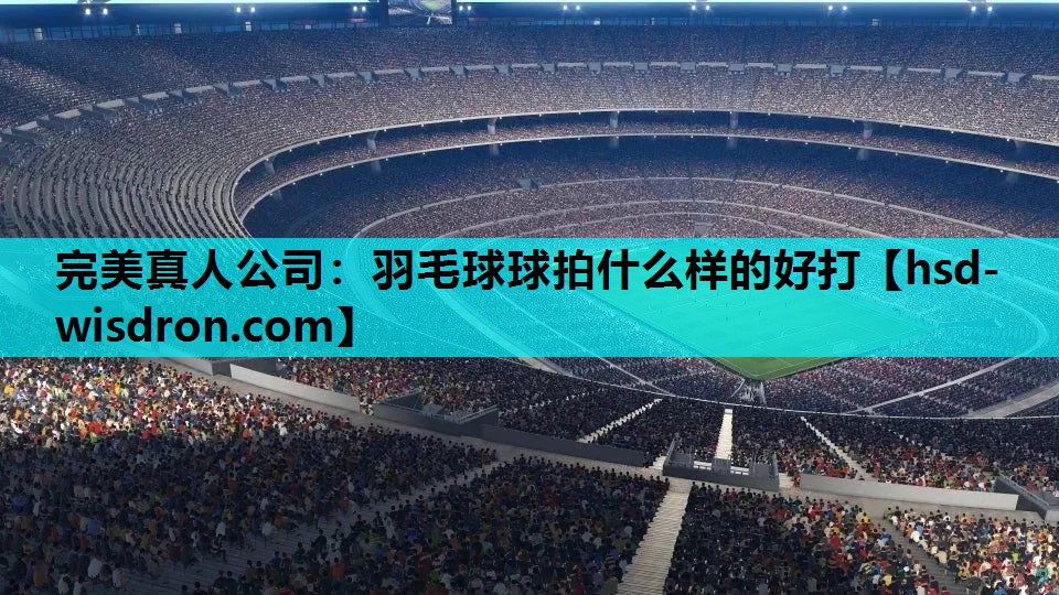 羽毛球球拍什么样的好打