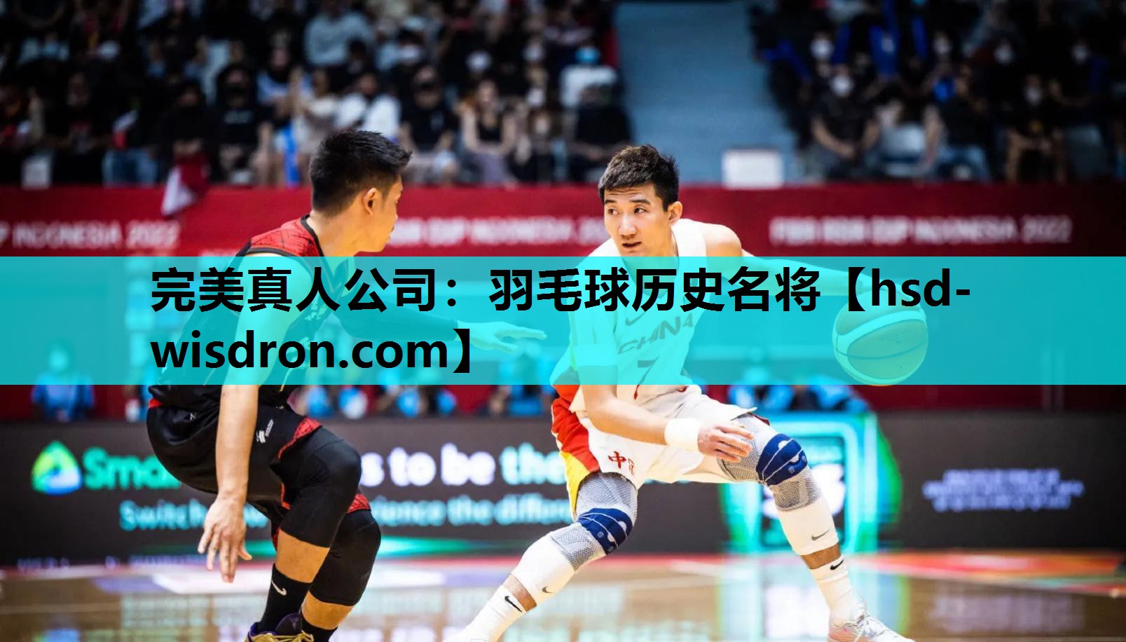 羽毛球历史名将