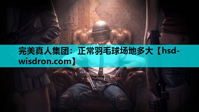 正常羽毛球场地多大